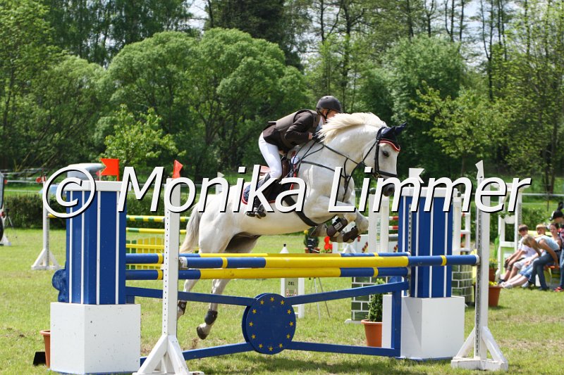 005M6639_Feivel the mouse_L Springen.JPG